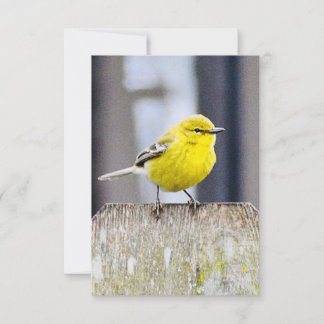 Naturanteckningskort Bird-kort Tack Kort