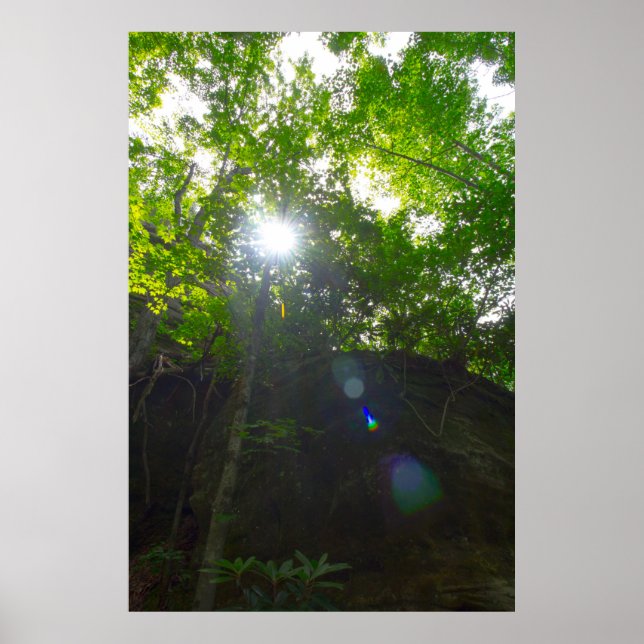 Naturarkanalen, Kentucky Poster (Framsidan)