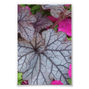 Naturart Fototryck