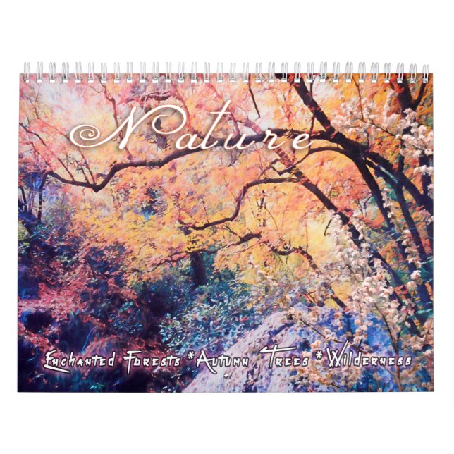 NATURART KALENDER (Omslag)