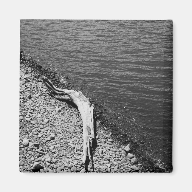 Naturbalans - Driftwood still Life Magnet (Framsidan)