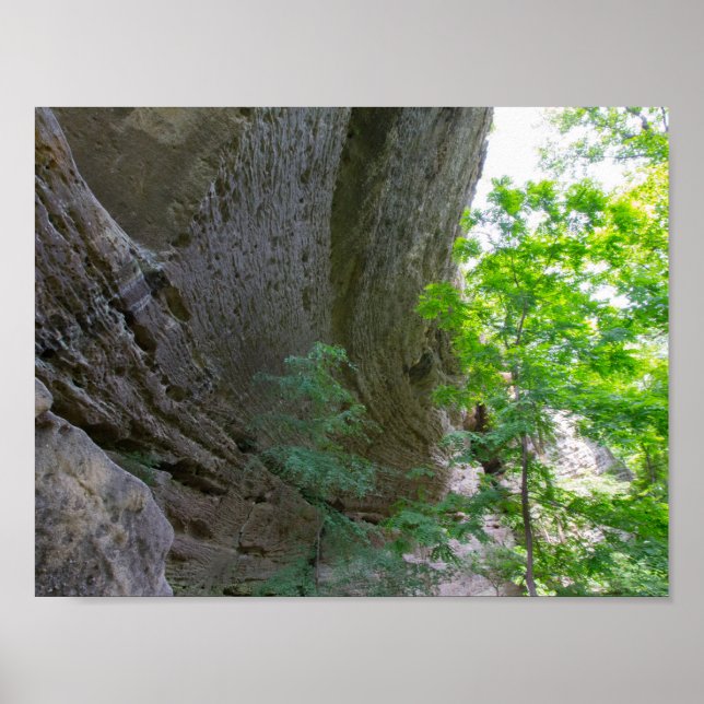 Naturbås, Kentucky Poster (Framsidan)