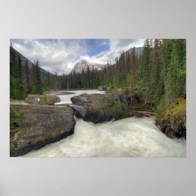 Naturbro Poster (Framsidan)