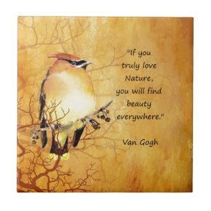 Naturcitat med Cedar Waxwing Bird Art Kakelplatta