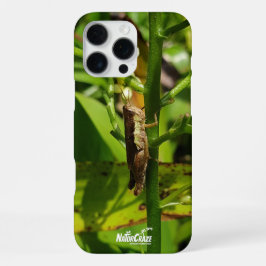 NaturCraze Brown Grashopper iphone case