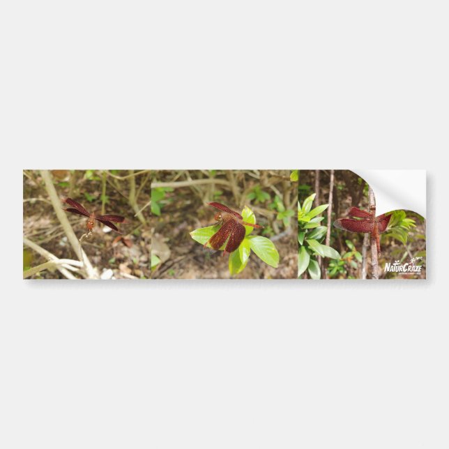 NaturCraze Red Dragonfly Bumper Sticker Bildekal (Framsidan)