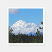 Nature Alaska Denali Scenery Photo