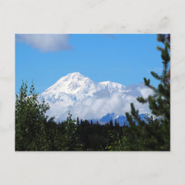 Nature Alaska Denali Scenery Photo Vykort