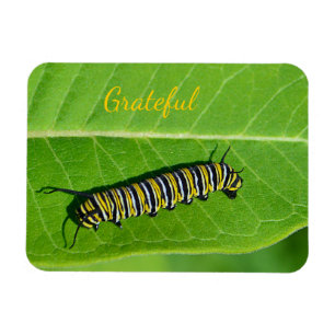 Nature Älskare Gratitude Magnet