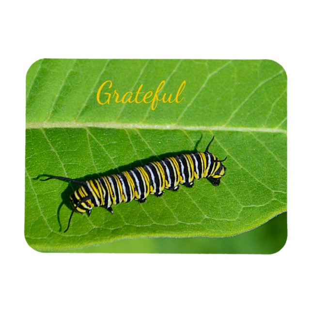 Nature Älskare Gratitude Magnet (Horisontell)