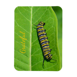 Nature Älskare Gratitude Magnet