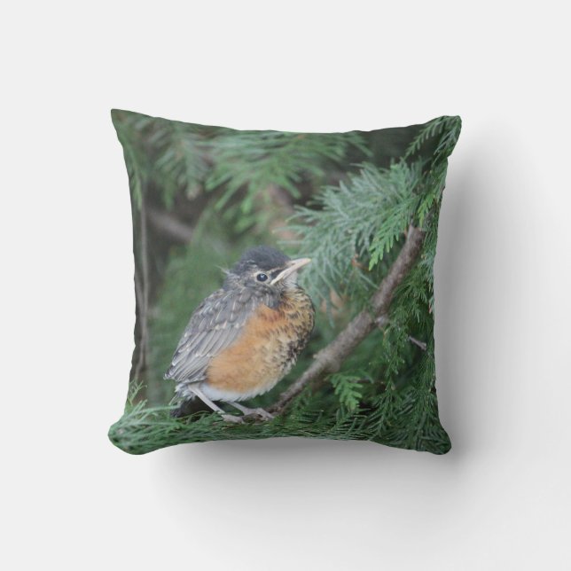 Nature älskare robin kudde (Framsida)