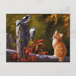 Nature Animals Vykort