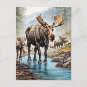 *~* Nature AP AP49 MOOSE HERD Forest STREAM Vykort