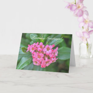 Nature Bouquet of Rosa Daety Flowers Birthday Kort