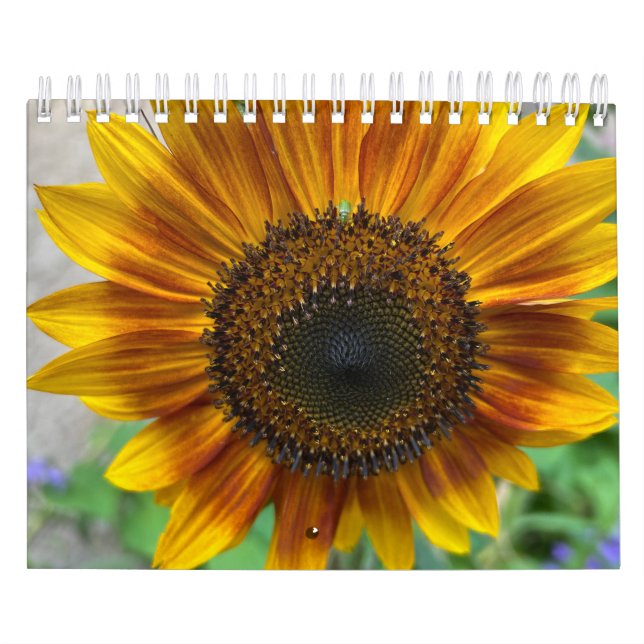 Nature Calendar Kalender (Omslag)