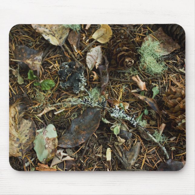 Nature Camo Musmatta (Framsidan)