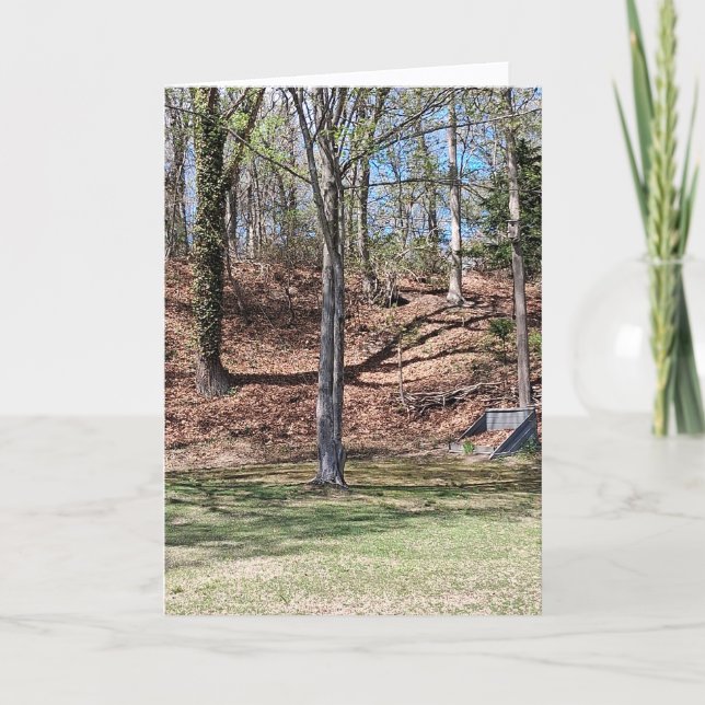 Nature Card Kort (Framsida)