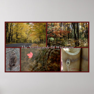 Nature Collage Print Northwood Wisconsin Säsong Poster