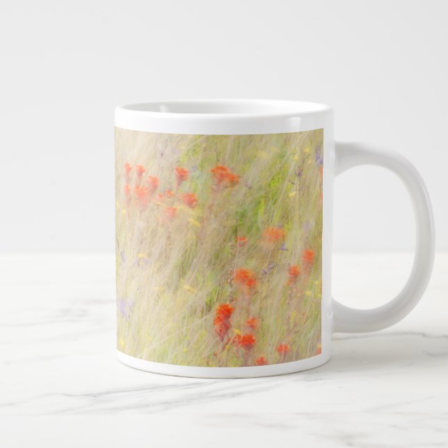 Nature Conservancy | San Juan Islands, WA Jumbo Mugg (Höger)