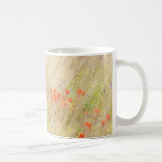 Nature Conservancy | San Juan Islands, WA Kaffemugg (Höger)