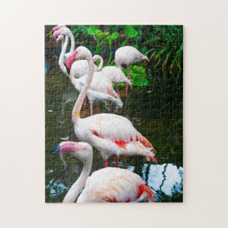Nature Flamingo Pussel