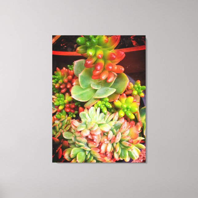 Nature Gifts, Stretched Kanvastryck (Framsida)