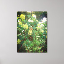 Nature Gifts, Stretched Kanvastryck