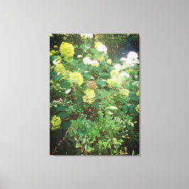 Nature Gifts, Stretched Kanvastryck