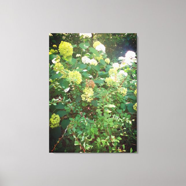 Nature Gifts, Stretched Kanvastryck (Framsida)