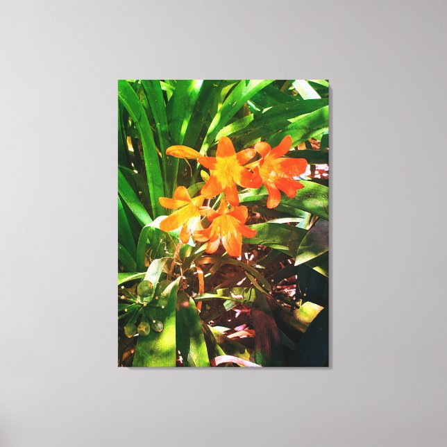 Nature Gifts, Stretched Kanvastryck (Framsida)