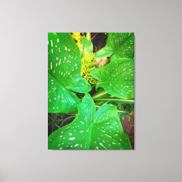 Nature Gifts, Stretched Kanvastryck