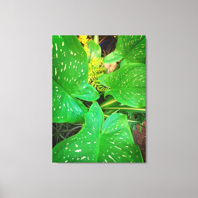 Nature Gifts, Stretched Kanvastryck (Framsida)