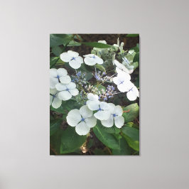 Nature Gifts, Stretched Kanvastryck