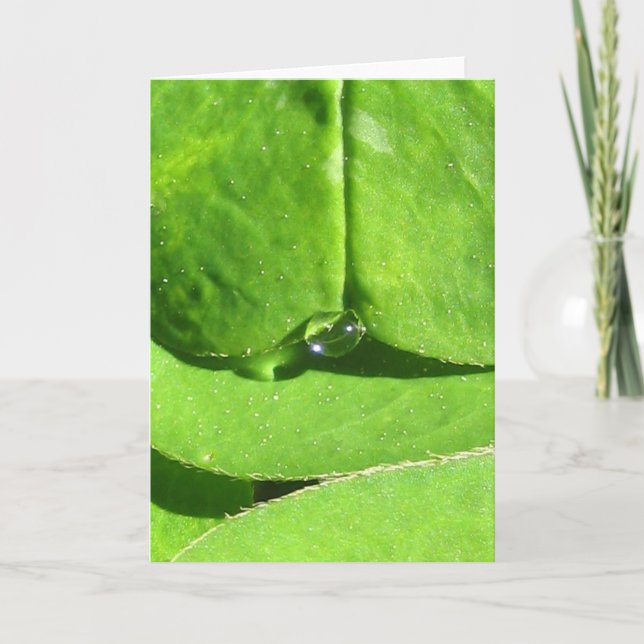 Nature Goddess Klöver med Dew Kort (Framsida)