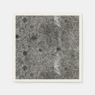 Nature Granite Sten med Grönt Moss Pappersservett