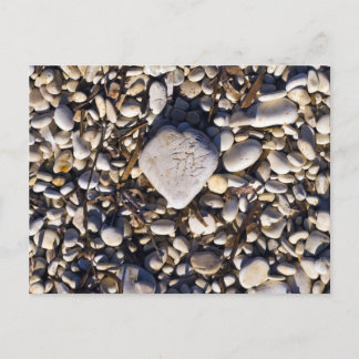 Nature Heart Card Vykort