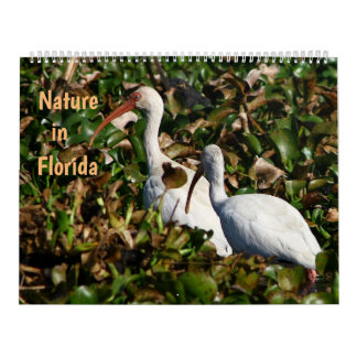 Nature in Florida Kalender