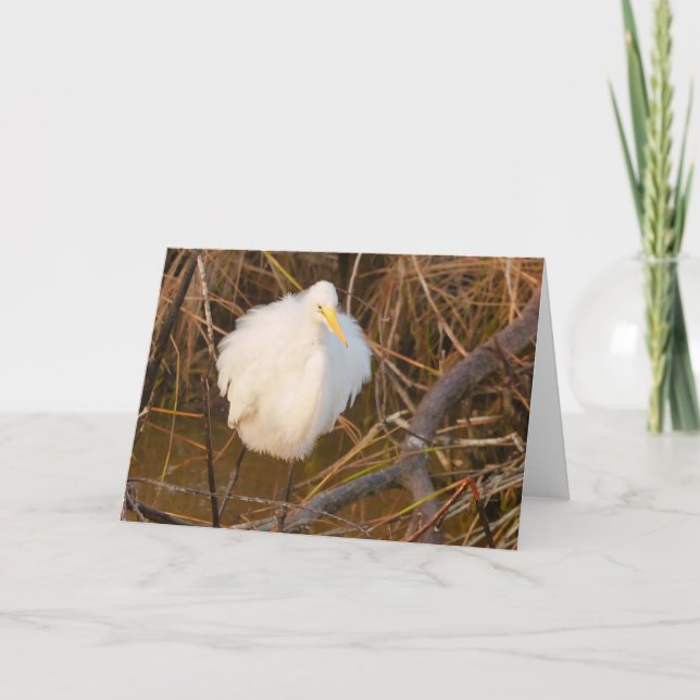 Nature-inspirerat Tillfällen card Snowy Egret Tack Kort (Framsida)