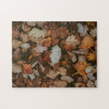 Nature Jigszle Puzzle Autumn Jigszle Puzzle Extrem
