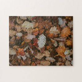 Nature Jigszle Puzzle Autumn Jigszle Puzzle Extrem Pussel