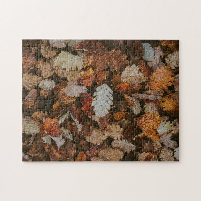 Nature Jigszle Puzzle Autumn Jigszle Puzzle Extrem Pussel (Horisontell)