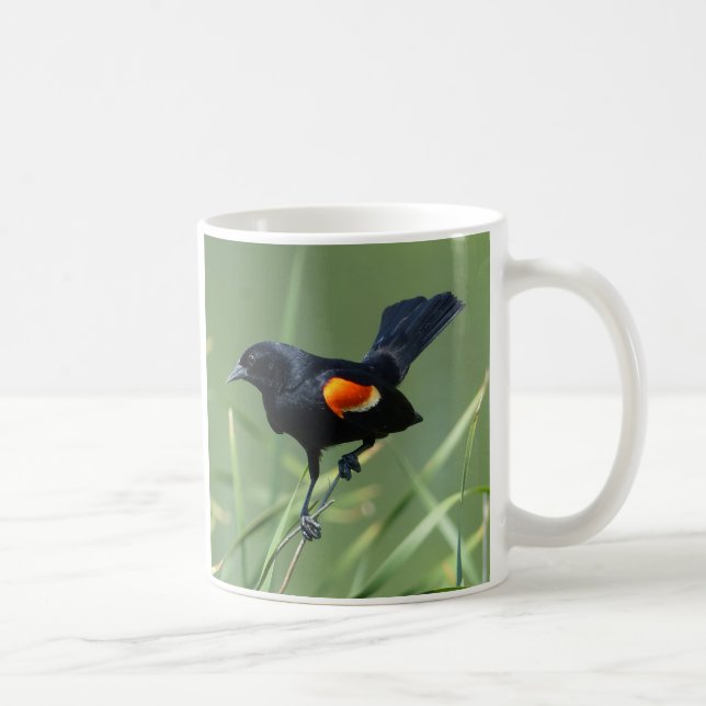 Nature Journey Red-Winged Black Bird Mugg (Höger)