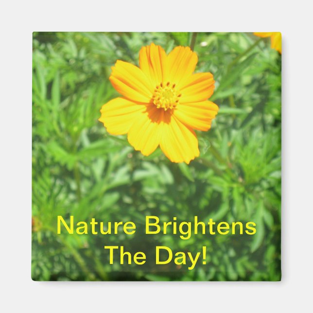 Nature Magnet (Framsidan)