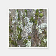 Nature Moss Lichen Camouflage Photo