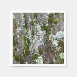 Nature Moss Lichen Camouflage Photo Pappersservett