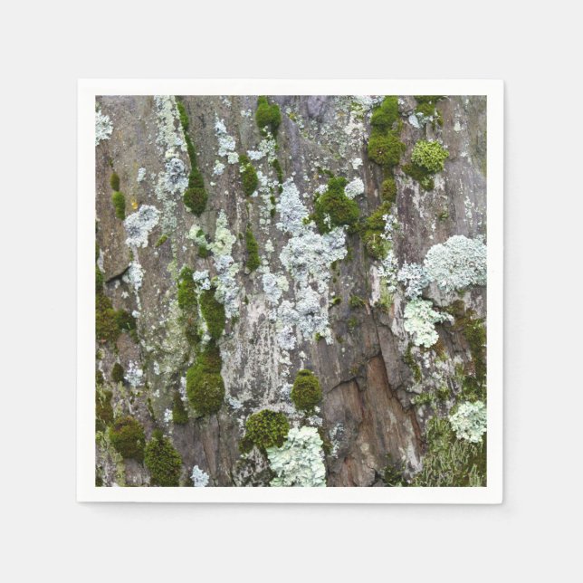 Nature Moss Lichen Camouflage Photo Pappersservett (Framsidan)