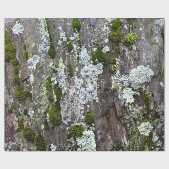 Nature Moss Lichen Camouflage Photo Presentpapper (Platt)