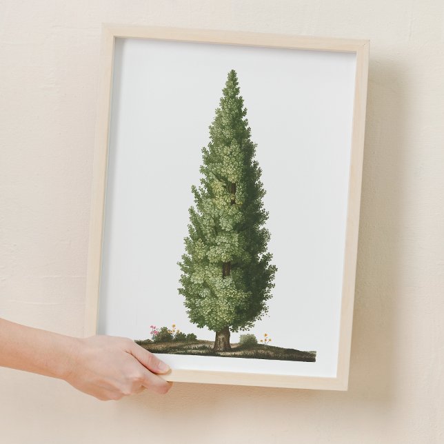 Nature Oak Träd Woodland Nursery Decor Poster (Nature Oak Tree Woodland Nursery Decor)