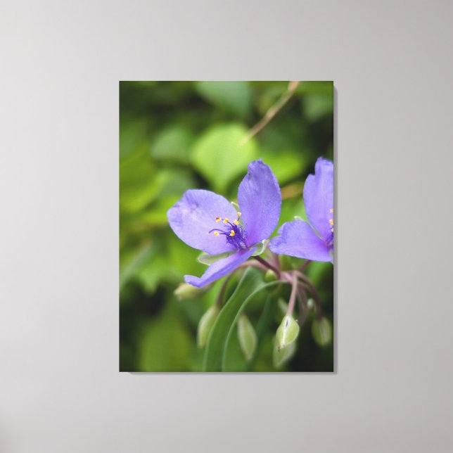 Nature Photography Canvas Print (Framsida)